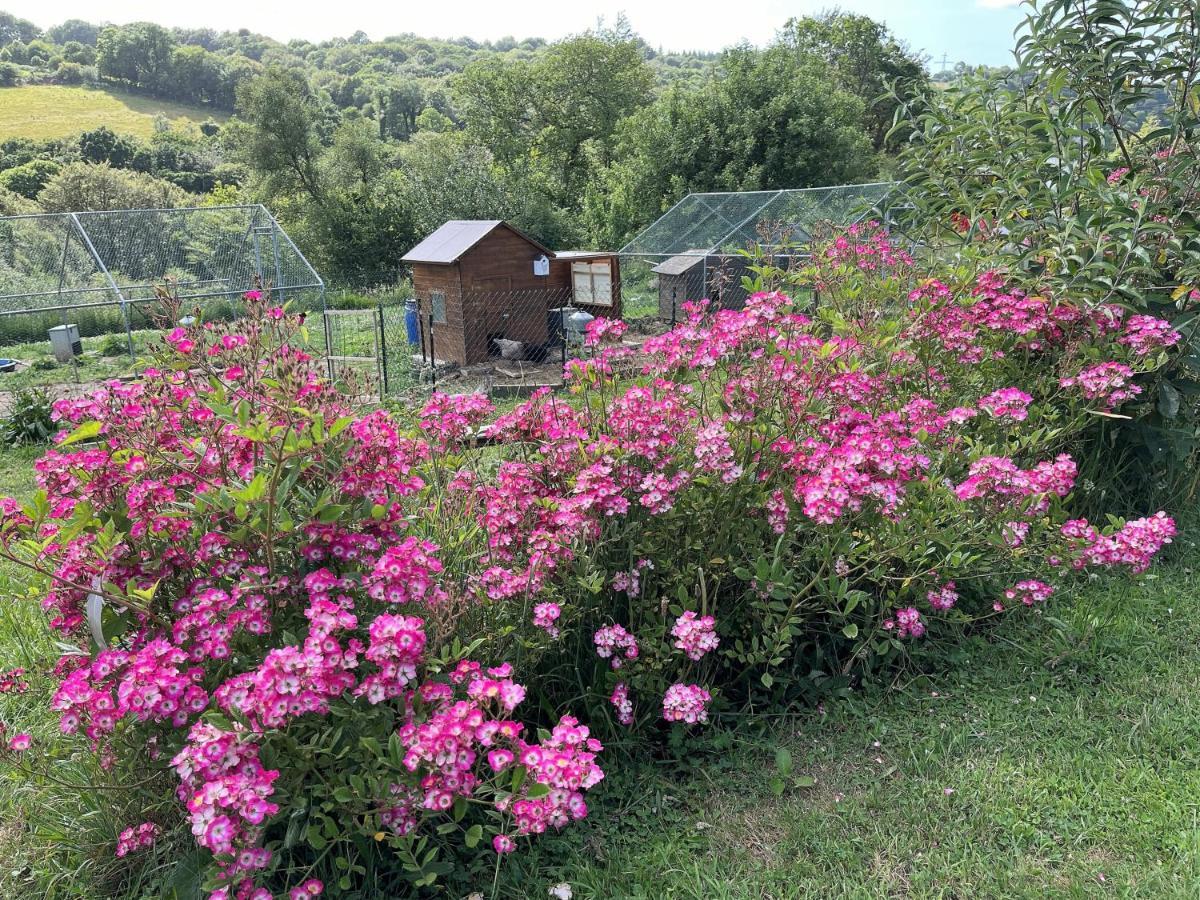 Le Ponthou Keryanti Domaine De Lesleac'H 빌라 외부 사진